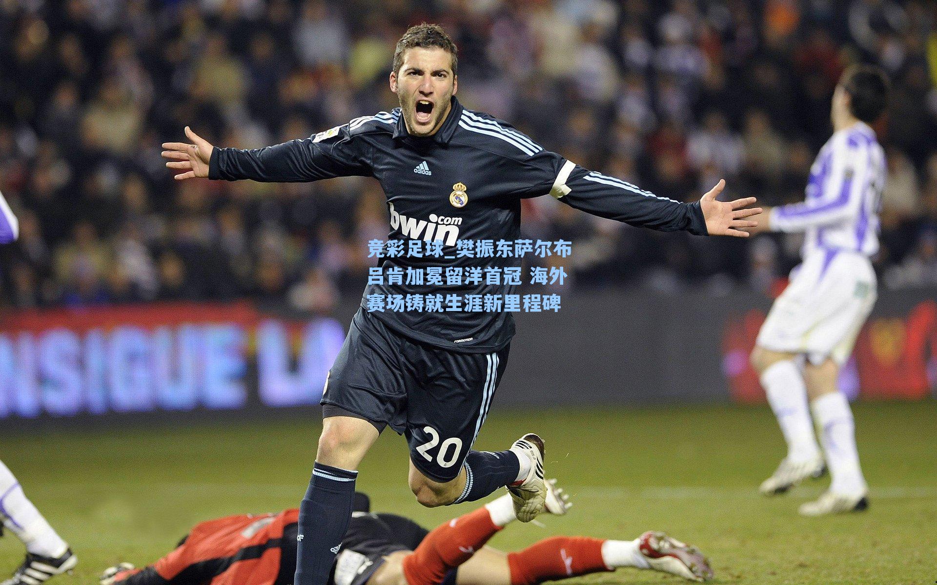 樊振东萨尔布吕肯加冕留洋首冠 海外赛场铸就生涯新里程碑