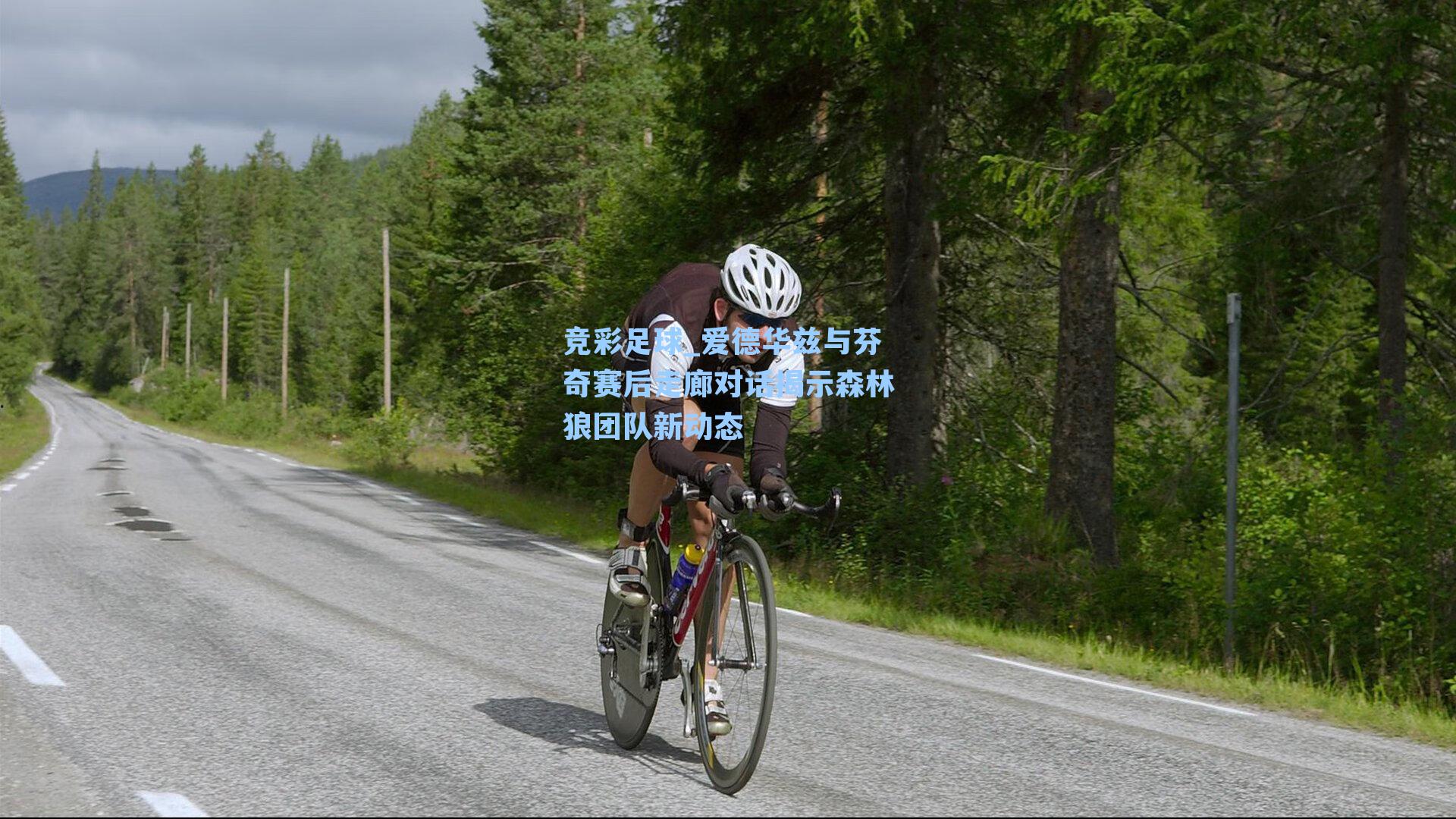 爱德华兹与芬奇赛后走廊对话揭示森林狼团队新动态